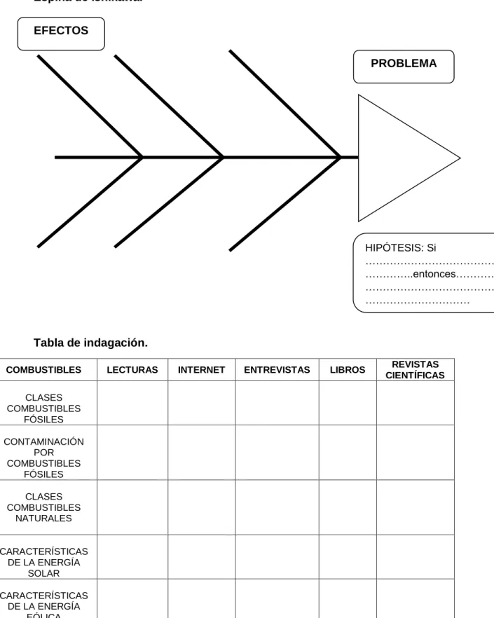 Tabla de indagación. 