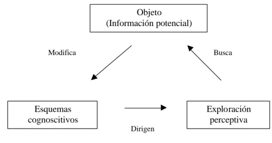 Figura 4.  Proceso perceptivo 