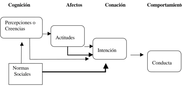 Figura 7. Modelo de Actitudes 