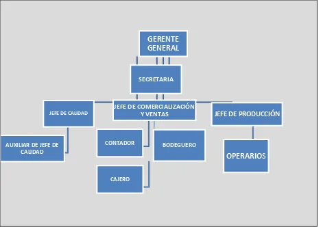 Figura 3.- Estructura organizacional 
