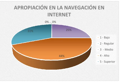 Ilustración 9. Navegación en Internet 