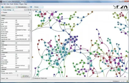Figura 12: Visualización de una red con la herramienta Gephi 