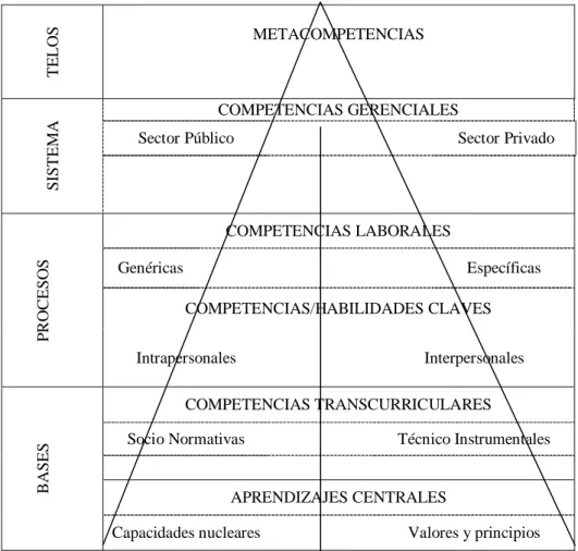 Figura 1. Tipos de competencias (Climent, 2010) 