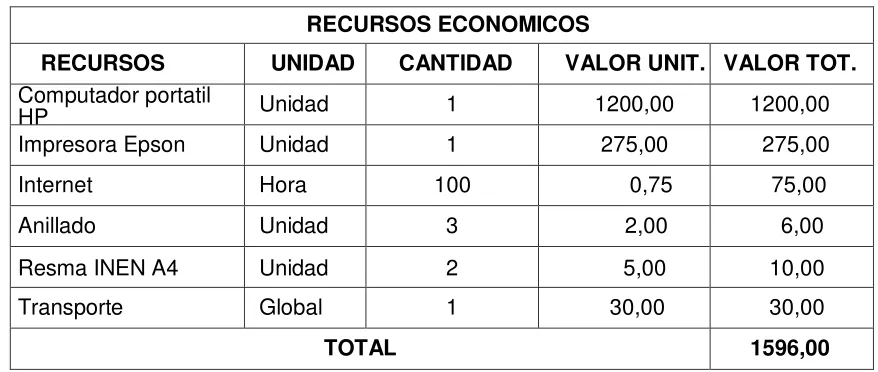 Tabla N 6 Recursos institucionales 