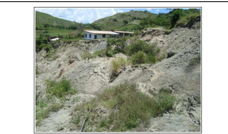 Figueroa (X= 693766, Y= 9537324) 