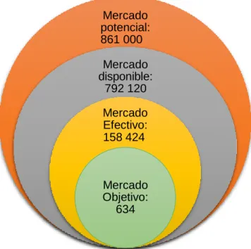 Figura 17. Determinación del mercado. 