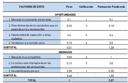 Tabla 13. Matriz factores externos