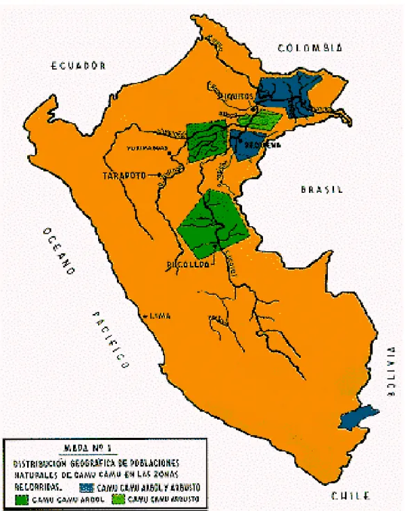 Gráfico Nº 3.4 