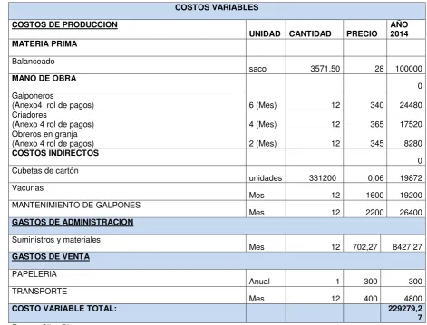 Tabla 10. Costos Variables Año 2014 