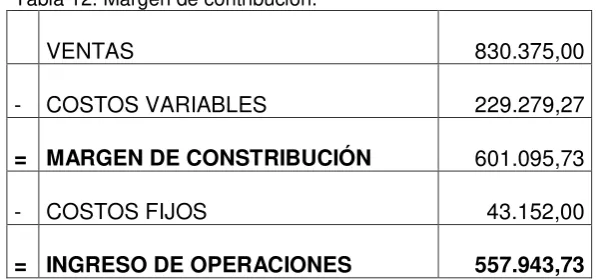 Tabla 12. Margen de contribución. 