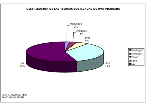 GRÁFICO 4.6 