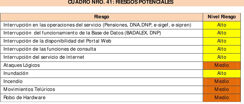 CUADRO NRO. 41: RIESGOS POTENCIALES 