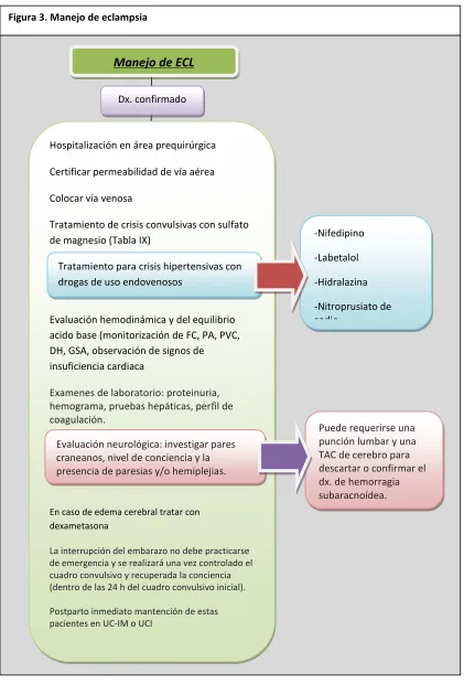 Figura 3. Manejo de eclampsia 