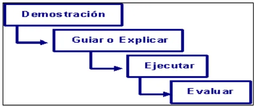 Figura 4. Ejemplo de organización del curso a partir de competencias.                           Fuente: Autora  