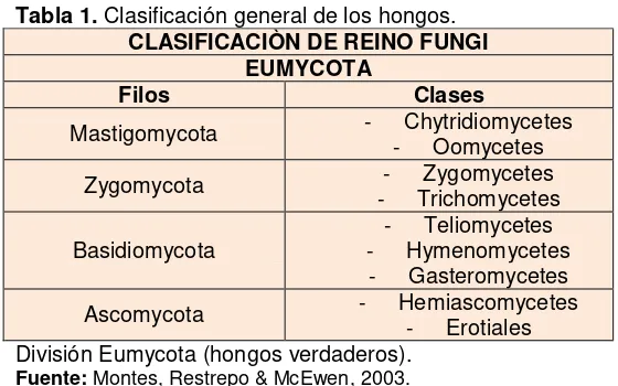 Tabla 1. Clasificación general de los hongos. 