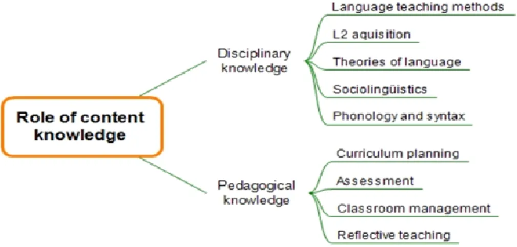 Figure 2. Teacher Competencies: The role of content knowledge. 