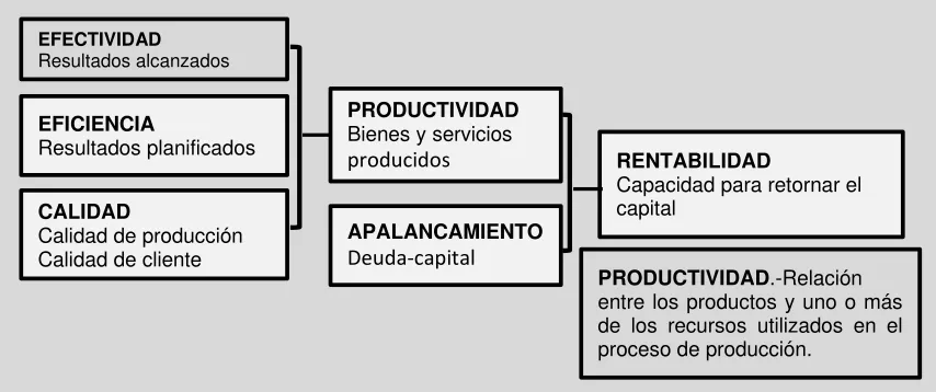 Figura 5 Indicadores de efectividad 