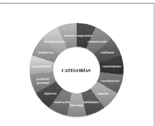 Figura 4. Categorías. 