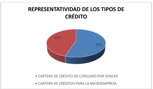 Gráfico No. 6. Respresentatividad de los tipos de crédito  