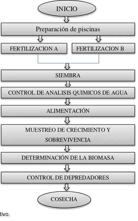 Figura 5. proceso operativo. 