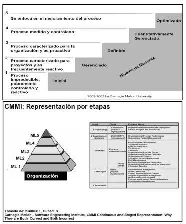Figure 1.  Representación por etapas 