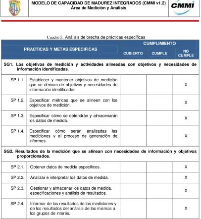 Cuadro 5.  Análisis de brecha de prácticas específicas 