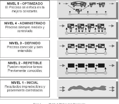Figura 1.  