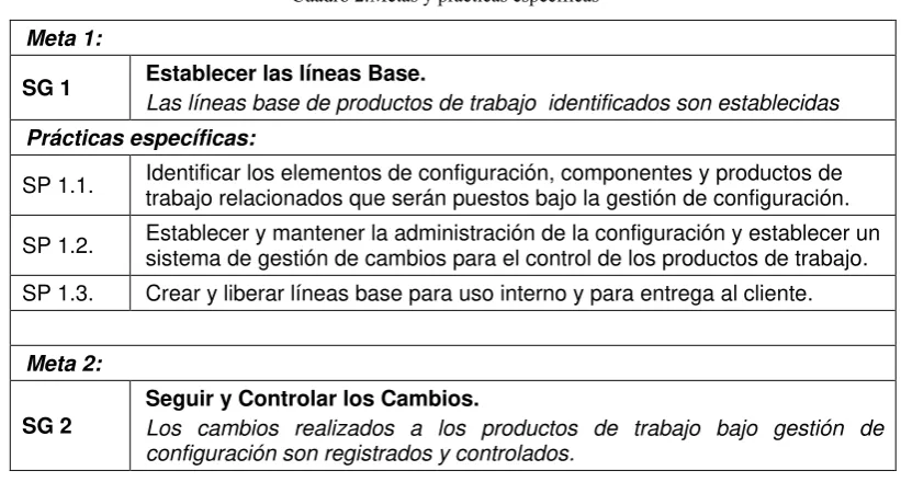Cuadro 2. Metas y prácticas específicas 