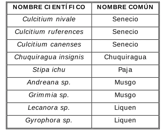 Cuadro N˚ 6 : Especies vegetales presentes en el área de estudio