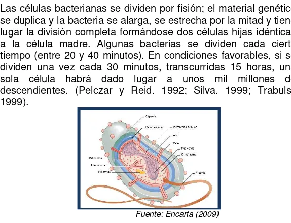 Fig.8.  Anatomía de una bacteria sencilla  