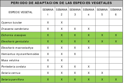 Tabla 5 . Adaptación de las especies vegetales 