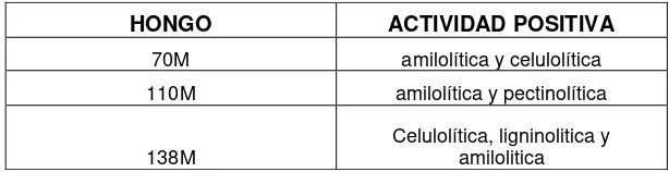 Tabla Nº 3. Actividad Enzimática 