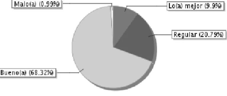 Gráfico 6 