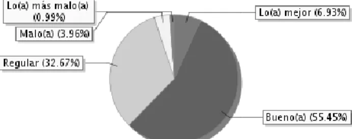 Gráfico 12 