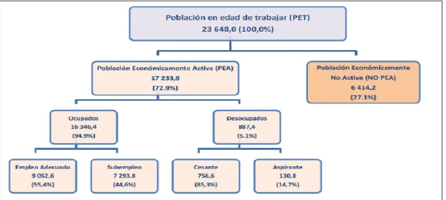 Figura 8.   Población económicamente activa. 