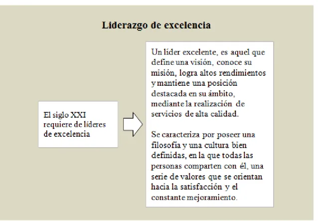 Figura Liderazgo de excelencia. 