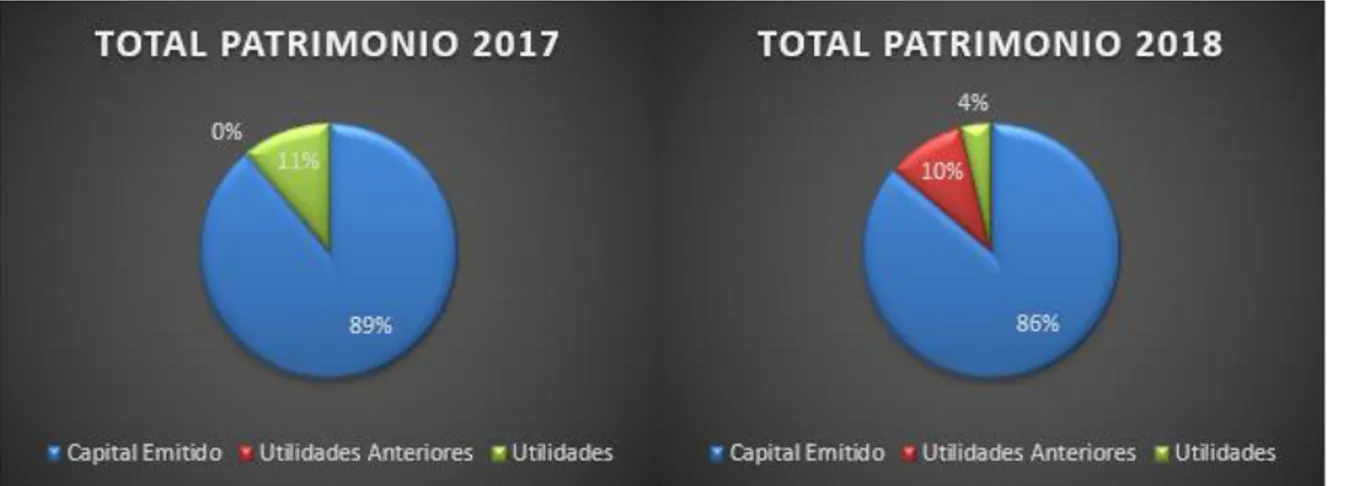Figura 3. Estructura Porcentual del Patrimonio del Balance General de las vigencias 2017 y 2018