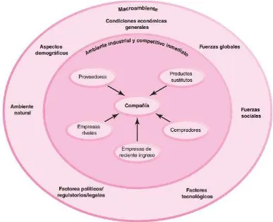 Figura 3. Componentes del macro ambiente 