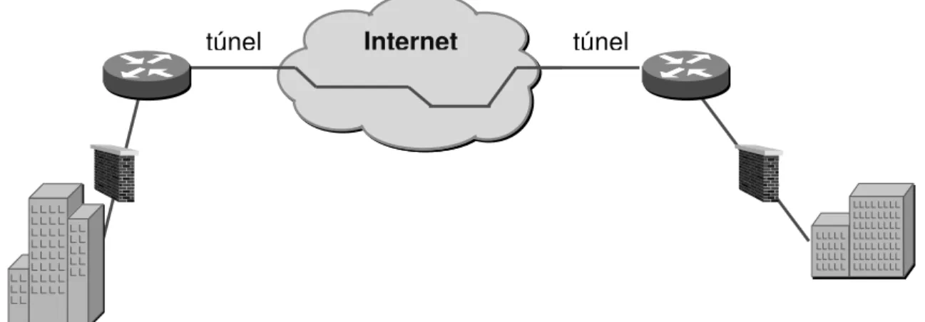 Fig. 4.1: Representación de una Red Privada Virtual 