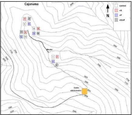 Figura 3. Distribución y ubicación de cuadrantes en Cajanuma. 