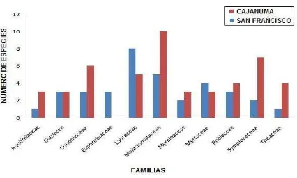 Figura 4. Diversidad relativa de familias con mayor número de especies en San francisco y Cajanuma