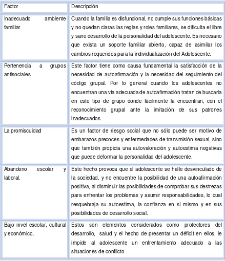 Tabla N° 14: Factores de riesgo en la Adolescencia 