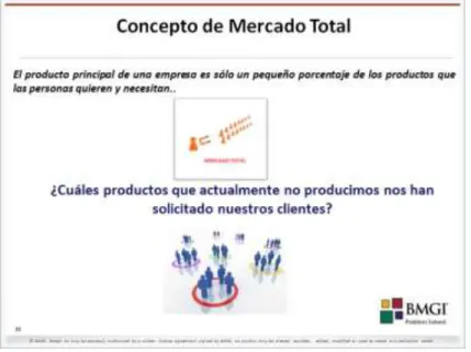 Figura 4 Concepto de Mercado Total (Anexo I) 