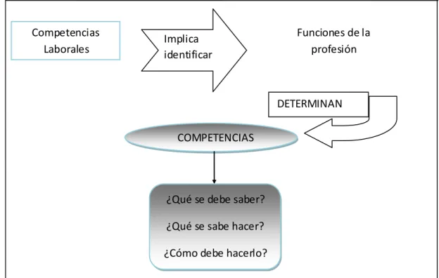 Cuadro 1 Co mpetencias determinadas en función de la profesión. 