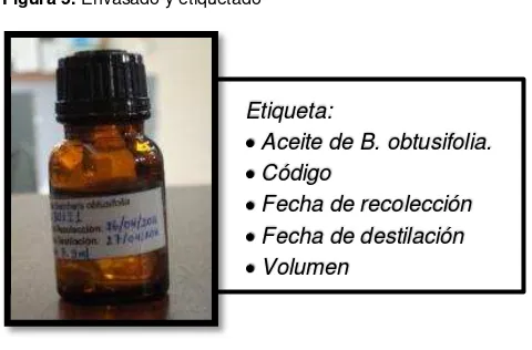 Figura 5. Envasado y etiquetado