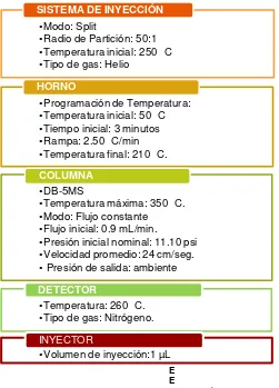 Figura 8. Condiciones operacionales para CG-FID en la columna DB-5MS. 