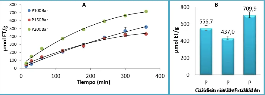 Figura 12. (a) Cinética presión constante 100 bar (b) Capacidad antioxidante por ABTS presión contante 100 bar (6 horas)