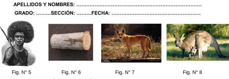 Fig. N° 5                      Fig. N° 6                         Fig. N° 7                                   Fig