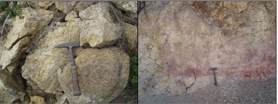 Figura 9: 689383; Y: 9547376), a la derecha Rocas Intrusivas de composición riolítica Andesítica