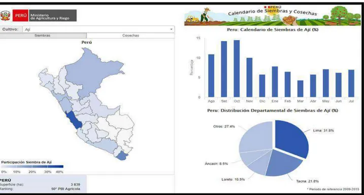 Figura 11. Siembra y Cosecha de Ají en el Perú  Fuente: Ministerio de Agricultura y Riego 